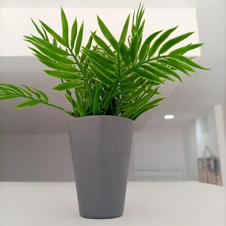 Comodo Al Lado De La Playa De Canteras Apartment *